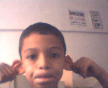 tefo
