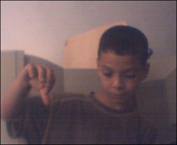 tefo